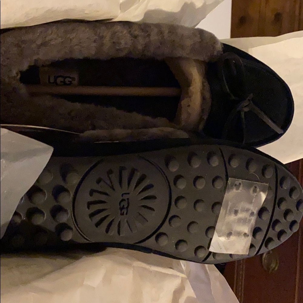 Ugg Shoes- New in box never worn.
